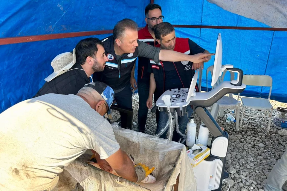 Uşak'ta Mersin Balıklarında Erken Cinsiyet Tespiti Eğitimi Verildi
