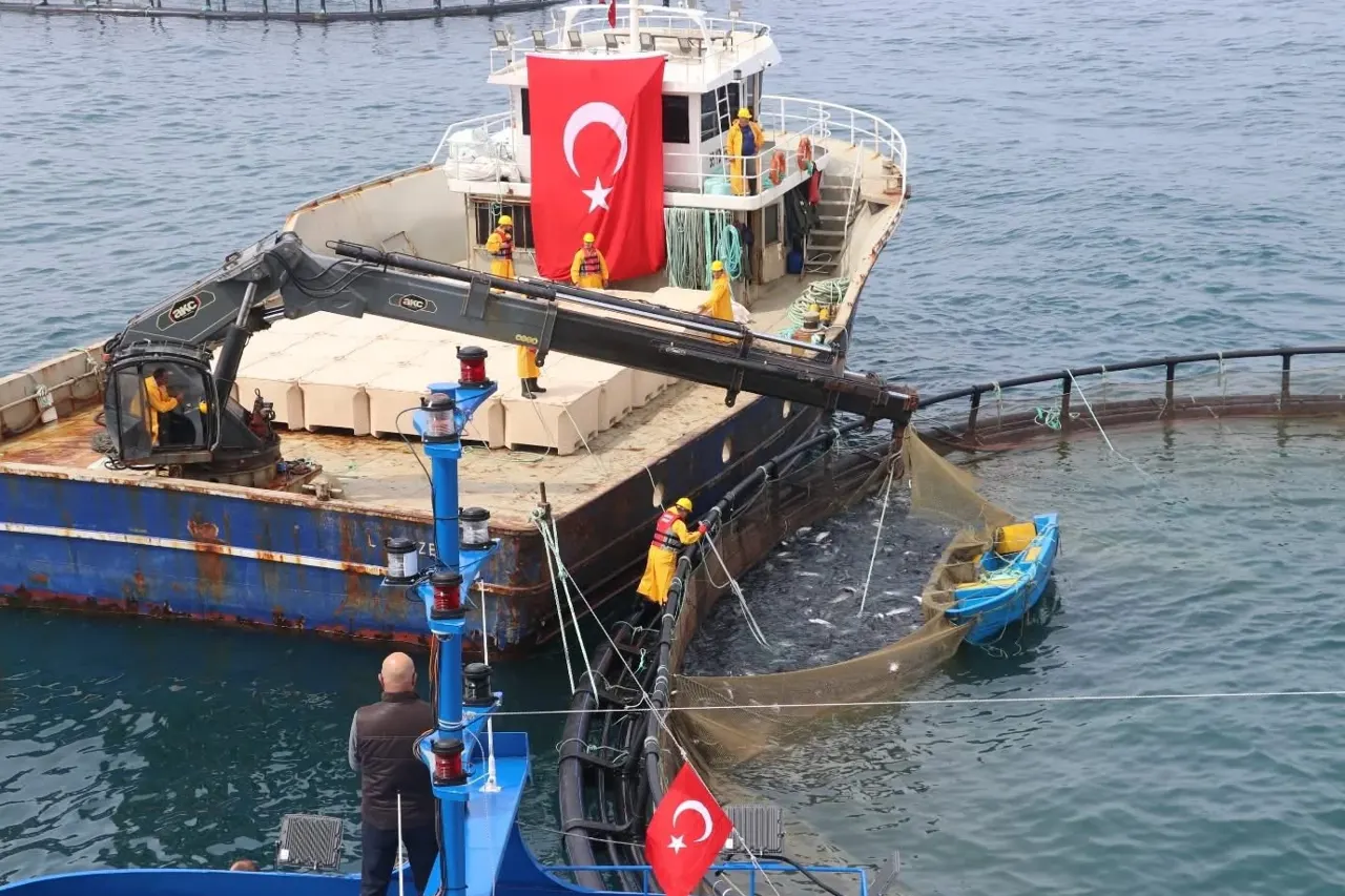 Su Ürünleri Üretiminde Yetiştiricilik İlk Sıraya Yükseldi