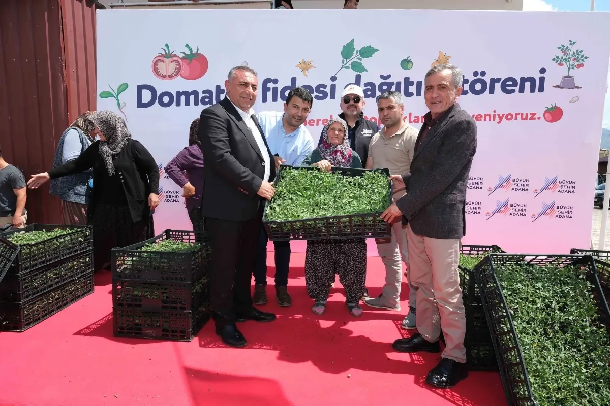 Adana Büyükşehir Belediyesi Üreticilere 200 Bin Domates Fidesi Dağıttı