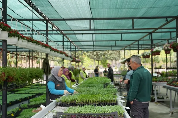 Bahçe Marketlerde Sebze Fidesi Satışları Yoğun İlgi Görüyor