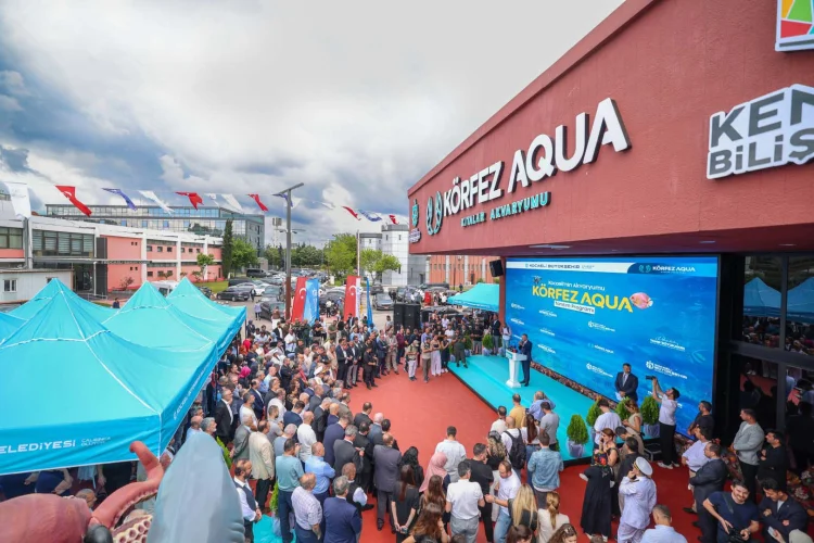 Körfez Aqua Kocaeli'de Ziyaretçi Akını: İlk Ayda 189 Bin Kişi Akvaryumu Keşfetti