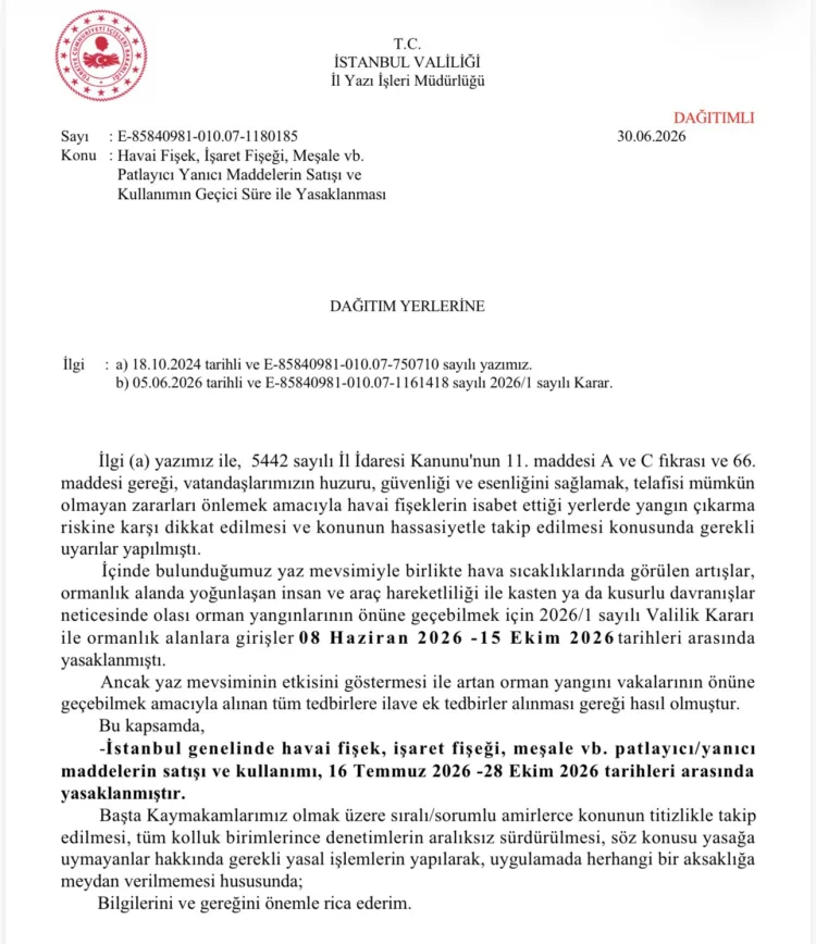 İstanbul'da Orman Yangınlarına Karşı Yeni Tedbirler: Havai Fişek ve Benzeri Maddelere Yasak