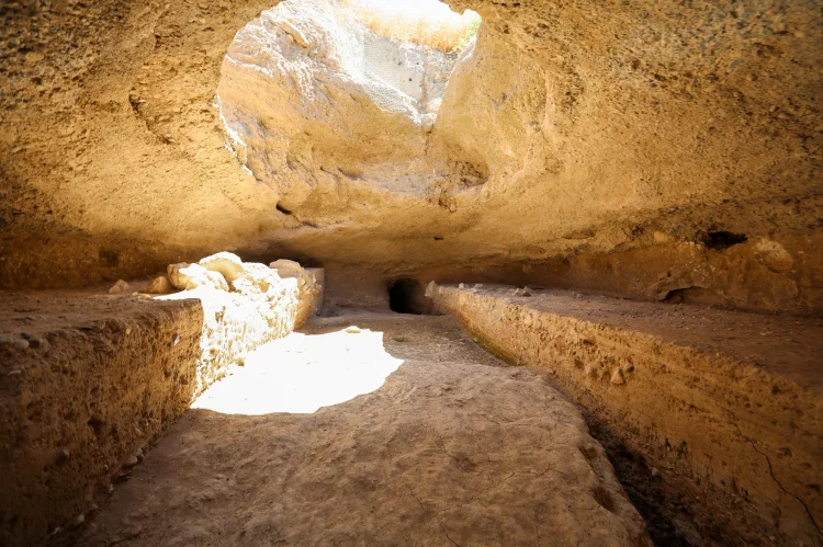 Karkamış'ta Kuş Cenneti Turizme Açılıyor: Tarih ve Doğa Buluşuyor