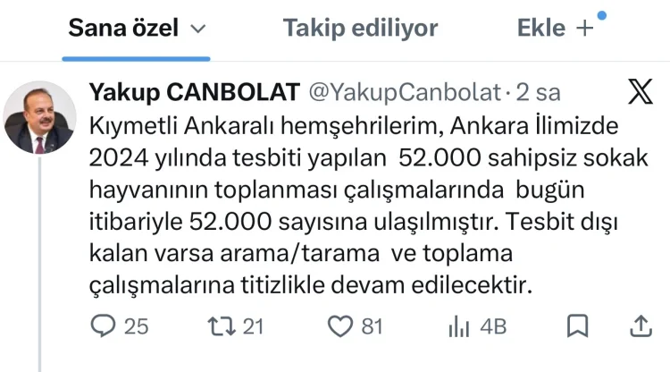 Ankara'da 52 Bin Sokak Hayvanı Yuvalandırıldı: Toplama Çalışmaları Tamamlandı
