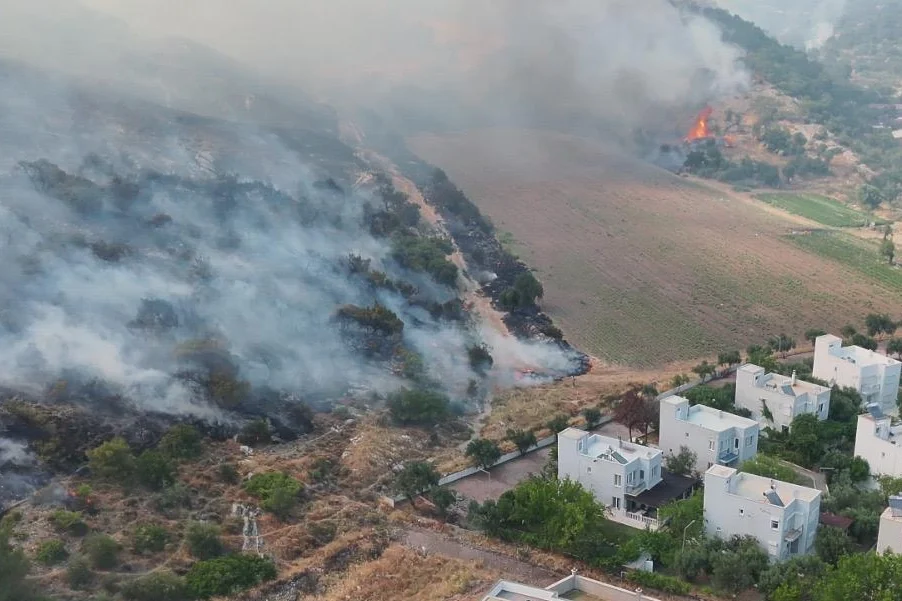 Dikili'de Zeytinlik Alanda Başlayan Yangına Müdahale Sürüyor
