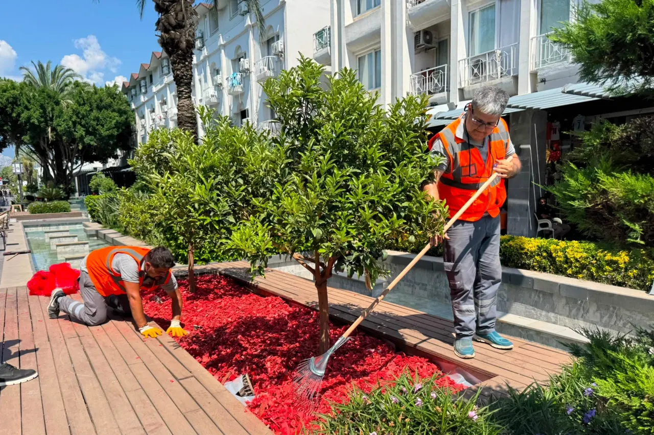 Antalya Büyükşehir Belediyesi'nden Kemer'de Kapsamlı Park ve Bahçe Bakım Çalışmaları