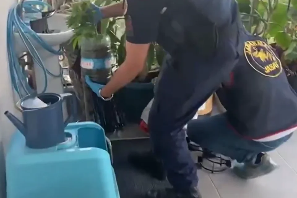 Jandarma, 5 İlde Yaptığı Operasyonda 341 Kişiyi Gözaltına Aldı