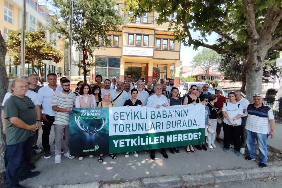 Bursa'da Kızıl Geyik Avı İhalesine Tepki: "Doğa İhale Edilemez"