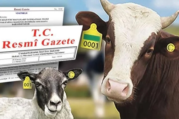 Hayvan Kayıt Sistemi Karekod ile Güncelleniyor: Küpe Süreleri Uzatıldı