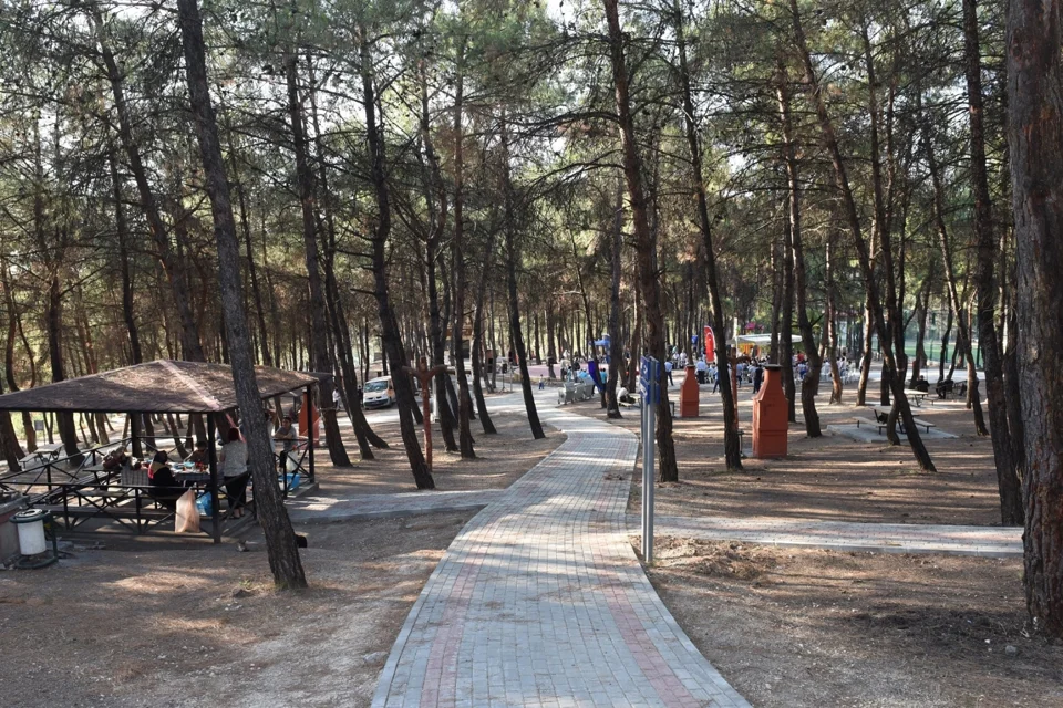 Bursa Ormanlarına Giriş 15 Ekim'e Kadar Yasak
