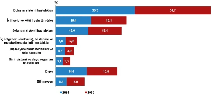 2025'te Türkiye'de En Çok Kalp ve Damar Hastalıkları Can Aldı, Bebek Ölümleri Azaldı