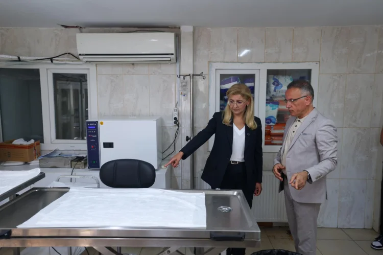 Bakırköy Sokak Hayvanları Barınağı Kapsamlı Yenilemeden Geçiyor