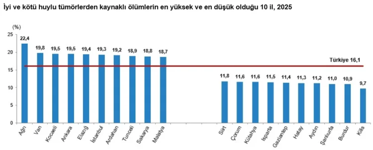 2025'te Türkiye'de En Çok Kalp ve Damar Hastalıkları Can Aldı, Bebek Ölümleri Azaldı