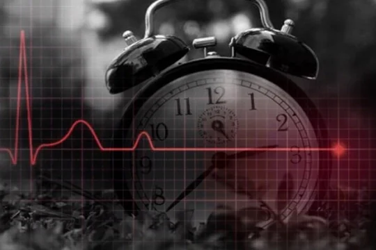 2025'te Türkiye'de En Çok Kalp ve Damar Hastalıkları Can Aldı, Bebek Ölümleri Azaldı