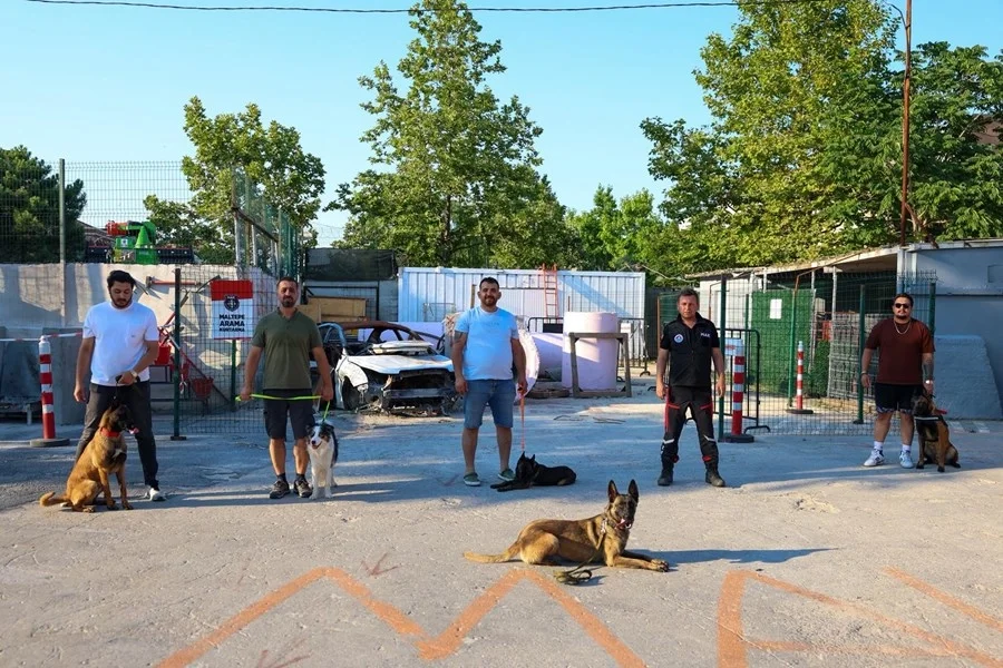 Maltepe'de Köpekli Arama Kurtarma Ekipleri Afetlere Hazırlanıyor