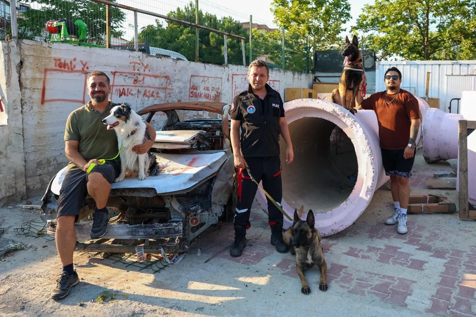 Maltepe'de Köpekli Kurtarma Ekipleri Afetlere Hazırlanıyor: Bir Yıllık Yoğun Eğitim