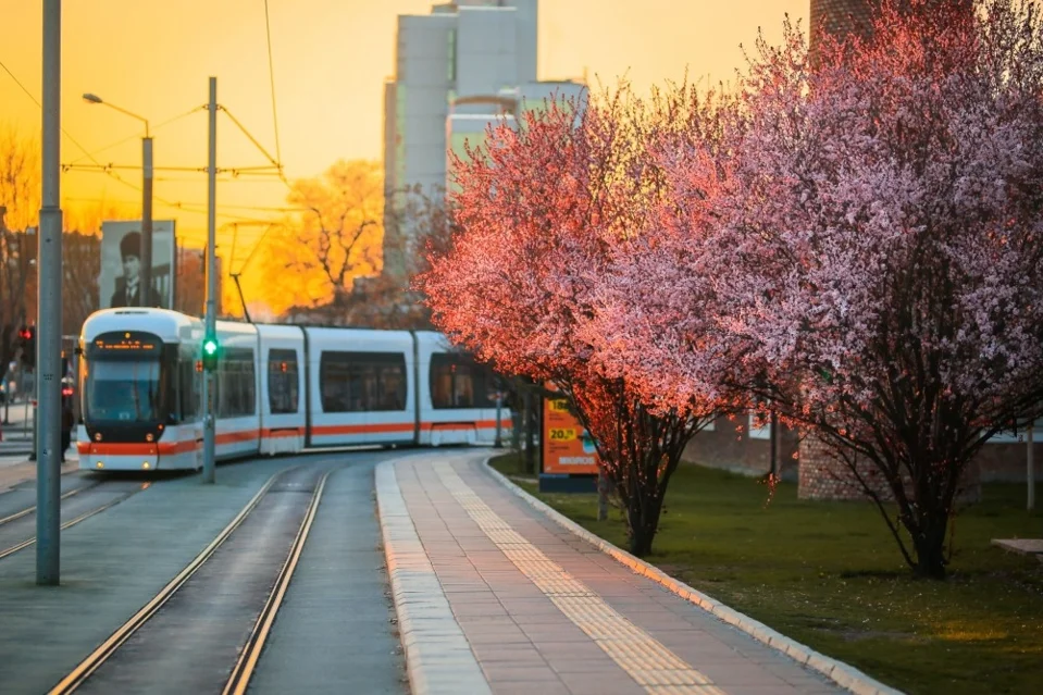 Eskişehir'de ESTRAM Tramvaylarında Yaz Tarifesi Uygulaması Başlıyor
