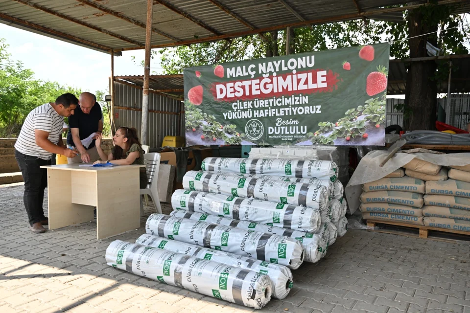 Manisa'da Çilek Üreticisine Naylon Desteği