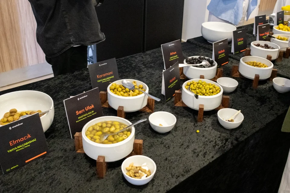 Ankara’da Zeytin ve İklim Zirvesi: Zeytin Atlası Tanıtıldı, Gelecek Nesillere Miras Bırakma Stratejileri Tartışıldı