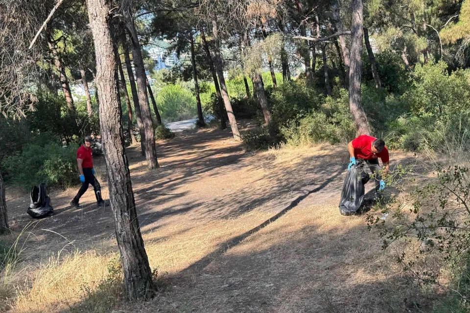 Mudanya'da Orman Yangını Riski Azaltılıyor: Çamlıbel'de Kapsamlı Temizlik