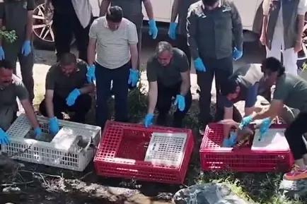 Bursa'da Tedavi Edilen Yaban Hayvanları Doğaya Dönüyor
