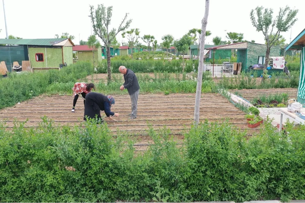 Tarım Arazilerinde Hobi Bahçeleri Dönemi Resmen Sona Erdi