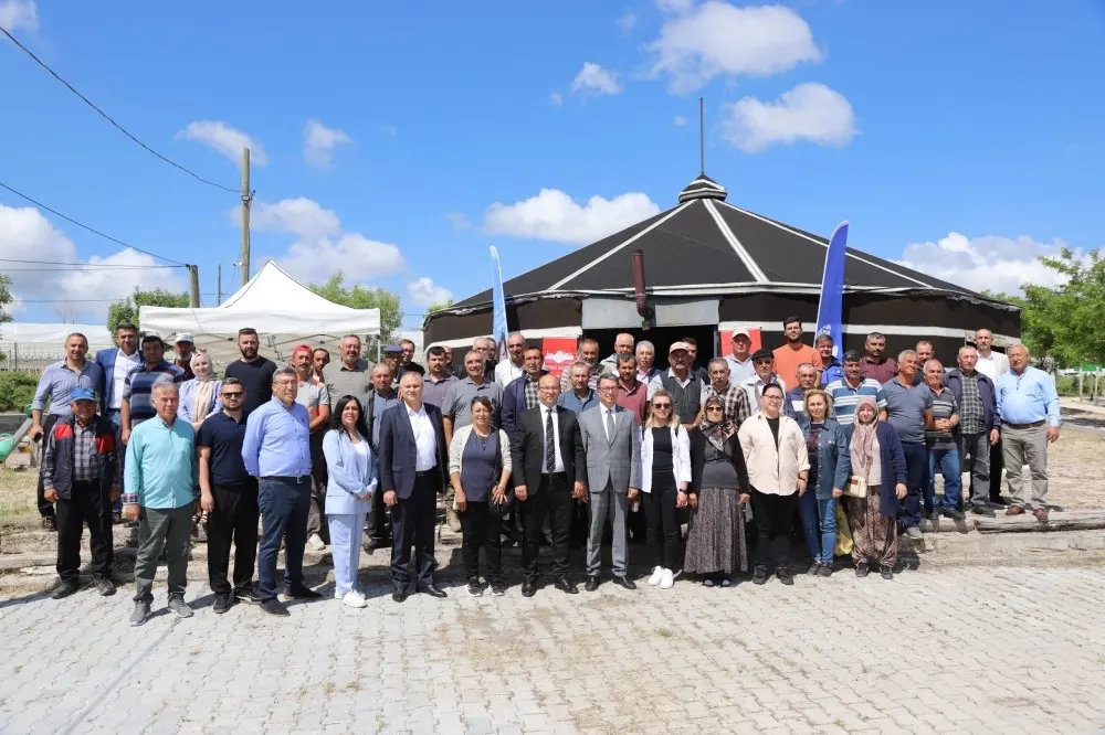 Eskişehir'de Küçükbaş Hayvancılık İçin Damızlık Koç Desteği Sürüyor